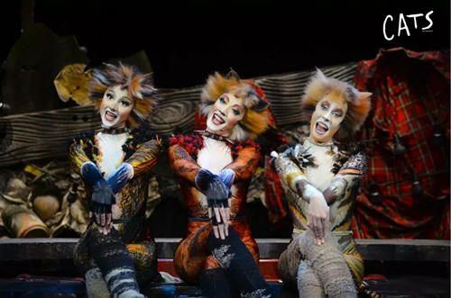 音乐剧猫CATS