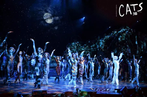 音乐剧猫CATS