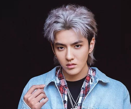 吴亦凡2019江苏演唱会