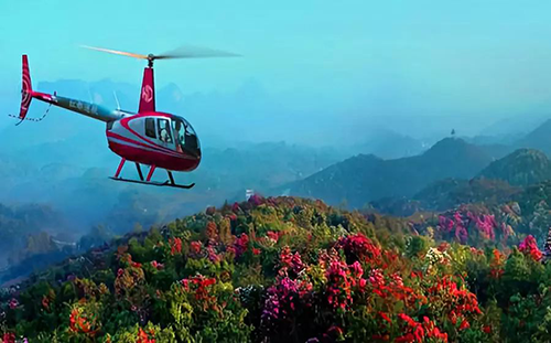 2022毕节杜鹃花•风车国际音乐节