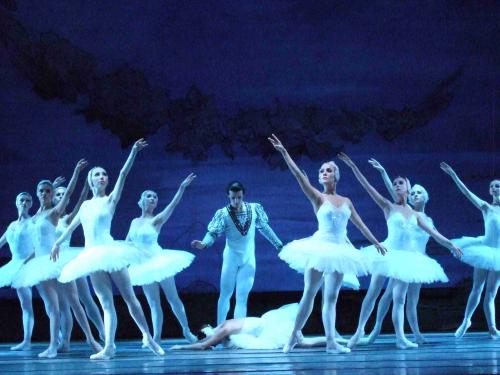 2019俄罗斯《天鹅湖》北京站