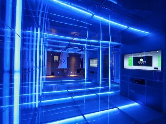 2019星巢武汉音乐节