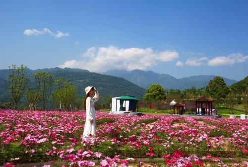 2021峨眉山音乐节门票价格、演出详情 2021峨眉山音乐节门票价格、演出详情