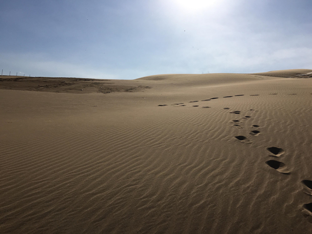 2023张家口MTA天漠音乐节嘉宾阵容及购票信息