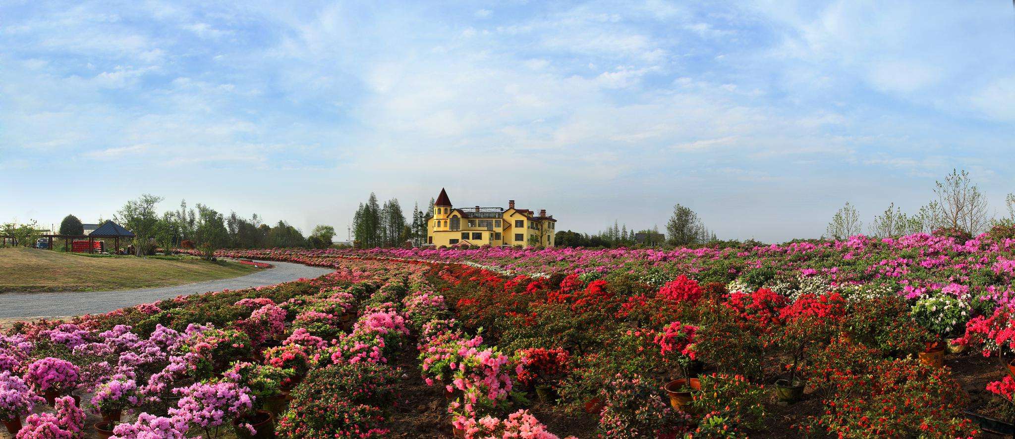 2019嘉善南窗音乐节