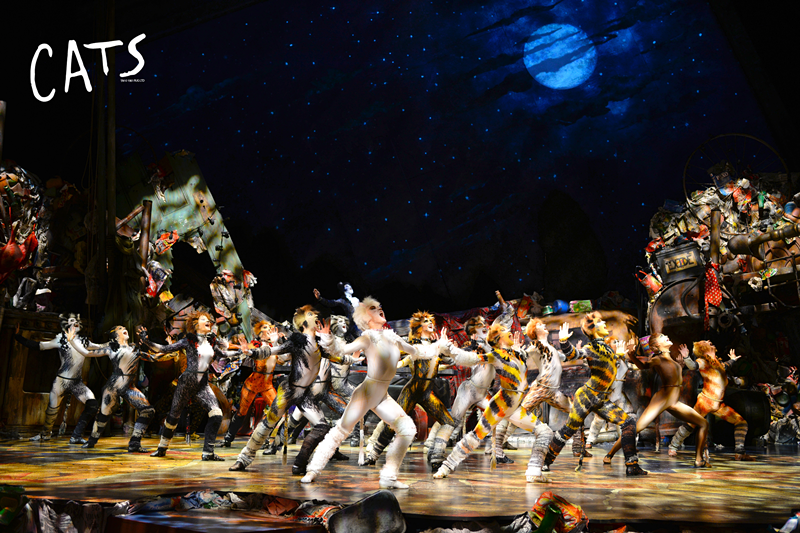 音乐剧《猫》