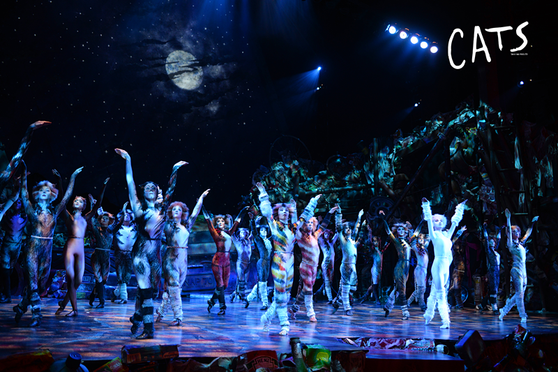 音乐剧《猫》