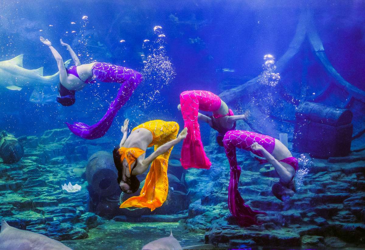 2019莫文蔚天津演唱会