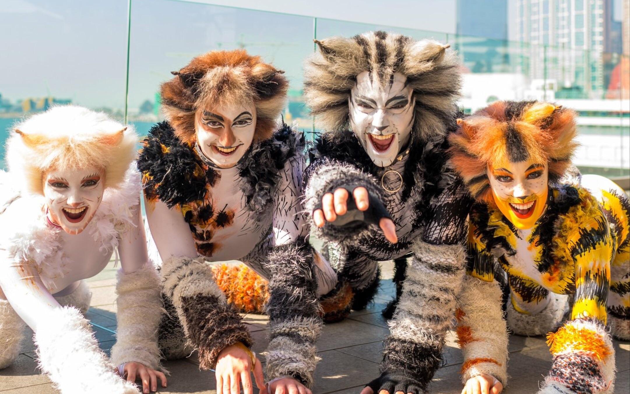 2019深圳音乐剧《猫》CATS