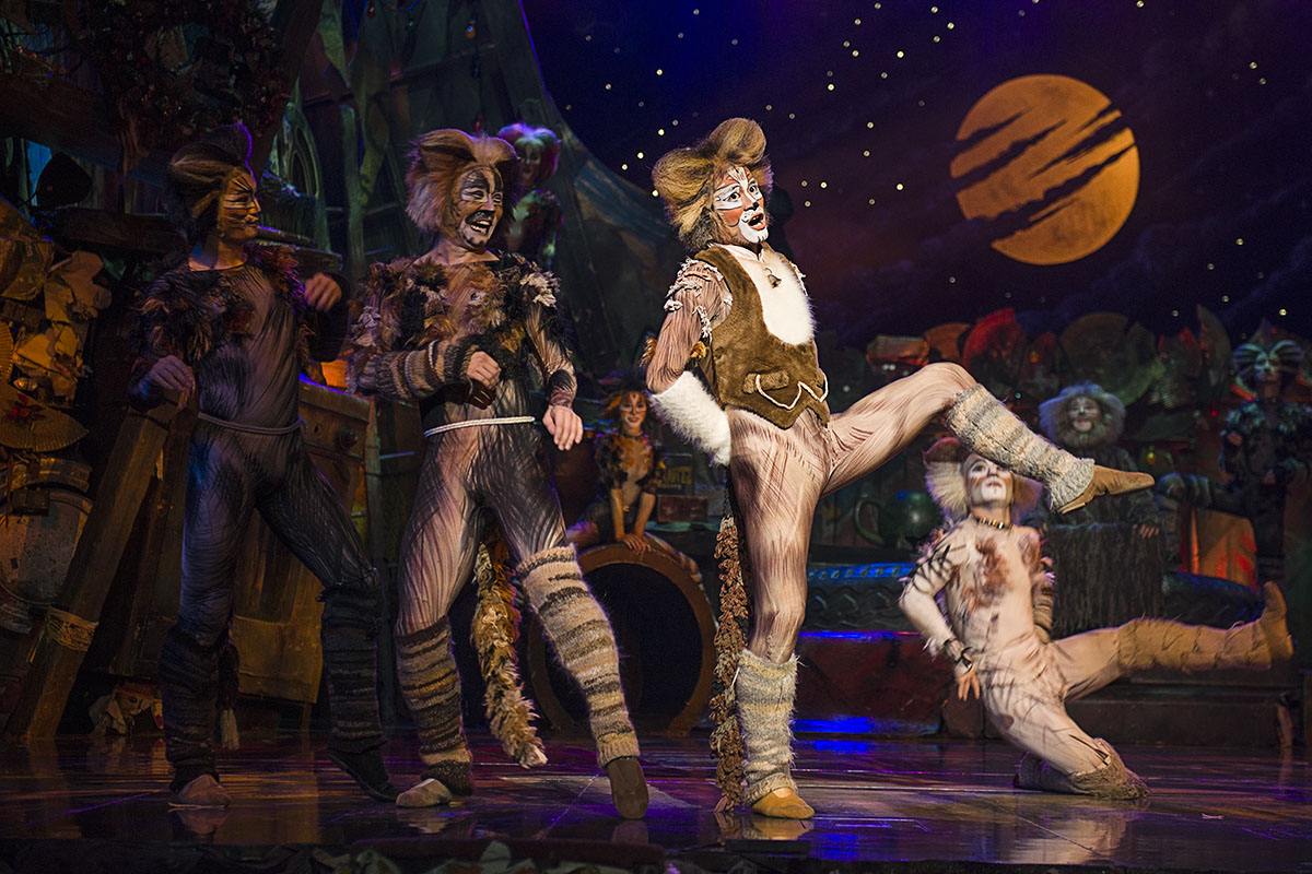 2019深圳音乐剧《猫》CATS