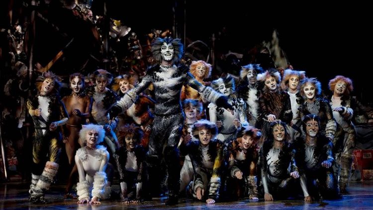 2019深圳音乐剧《猫》CATS