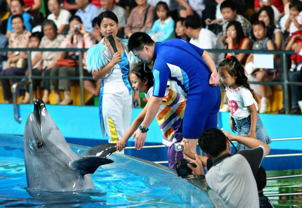 2022丁当杭州演唱会【在线订票】