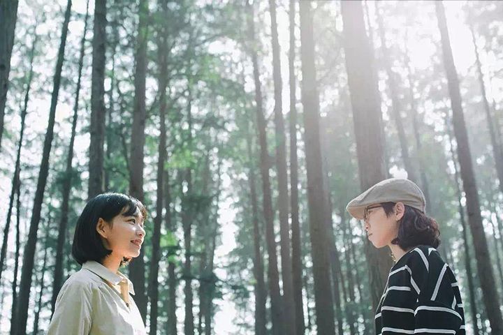 2023上海春浪音乐节嘉宾阵容及演出安排 2023上海春浪音乐节嘉宾阵容及演出安排