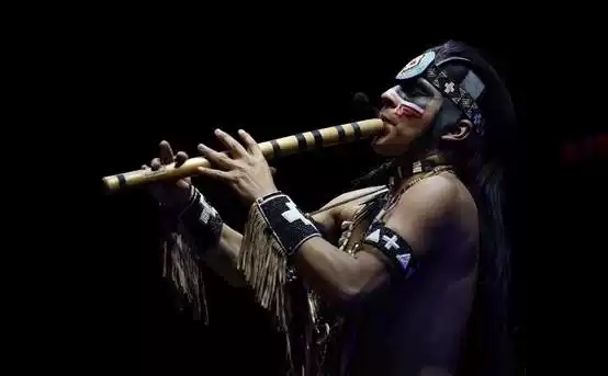 最后的莫希干人