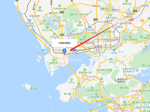 2019郑慧深圳钢琴音乐会门票+入场须知+交通指引