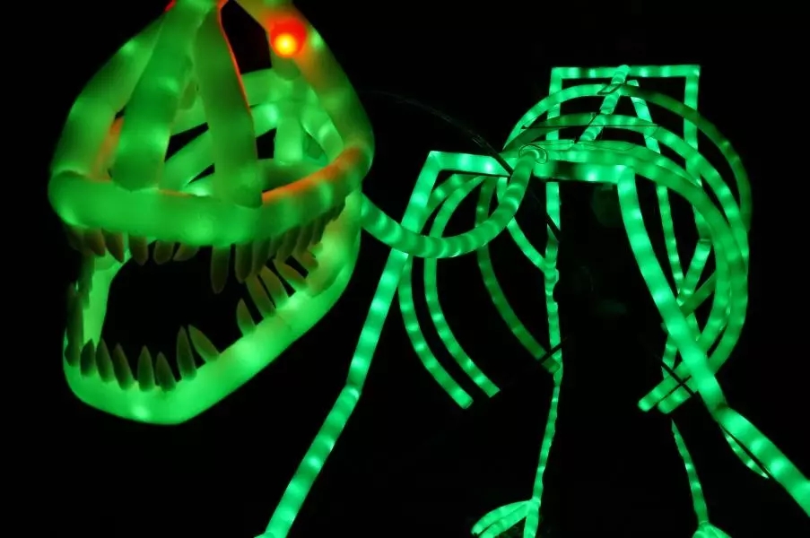 光影秀《神奇动物在这里》