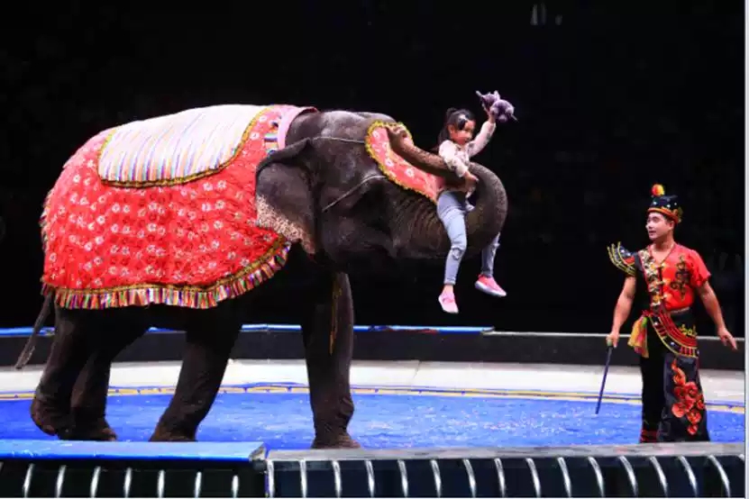 马戏小丑嘉年华