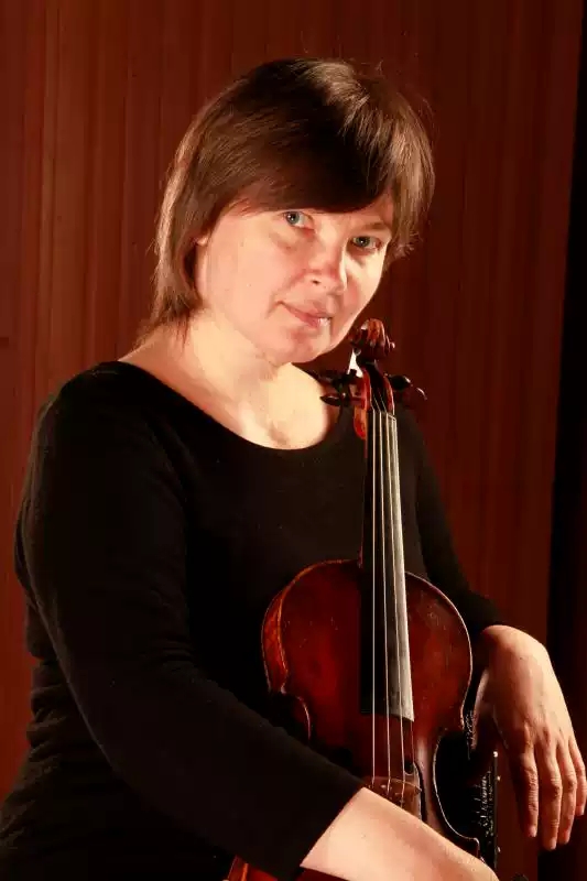 大师系列音乐课乐器总动员之色彩乐器篇