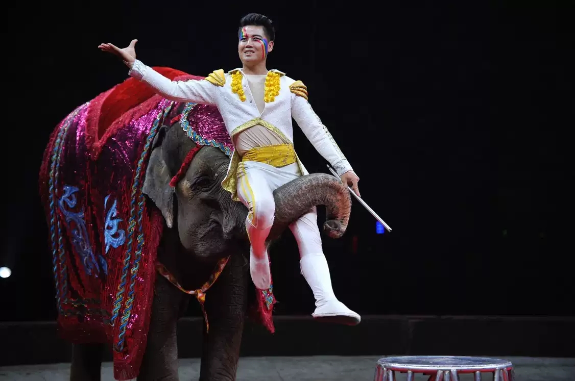 马戏小丑嘉年华