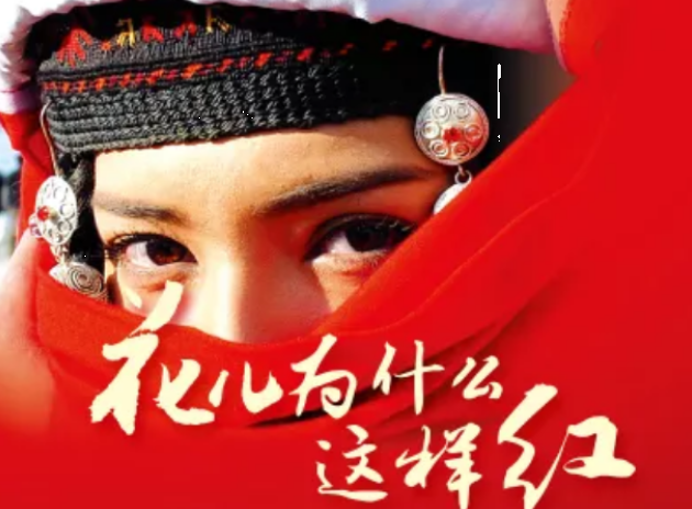 花儿为什么这样红