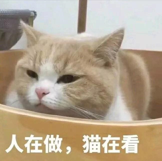2021音乐剧恋爱吧人类北京站门票+入场须知+交通指引