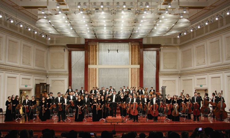 绿叶对根的情意