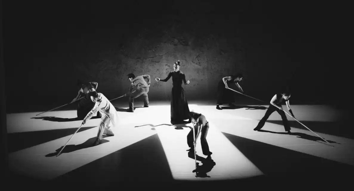 舞术The Martial Dance