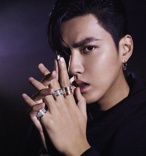 吴亦凡2019巡回演唱会, 吴亦凡演唱会门票价格