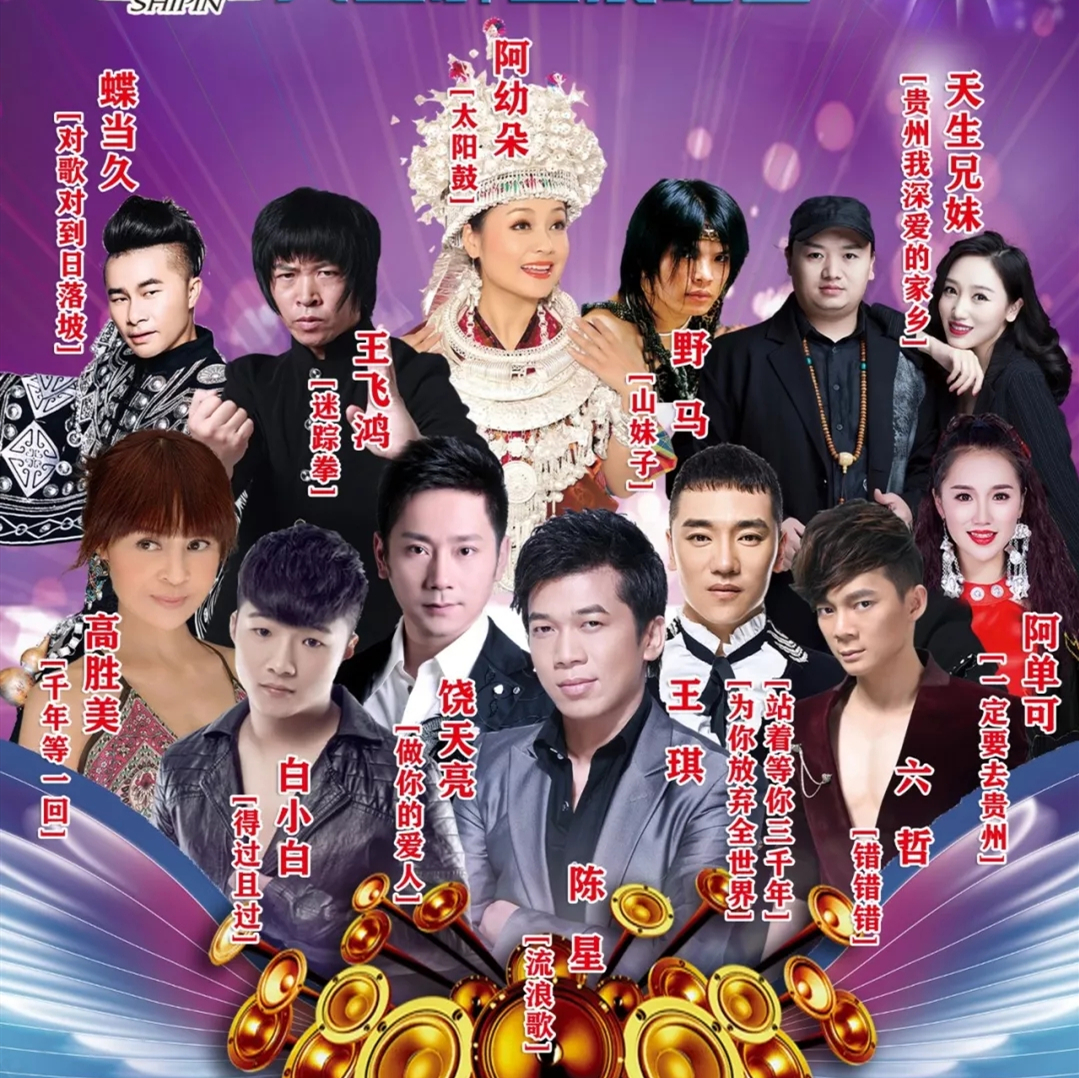 施秉宏泰群星演唱会