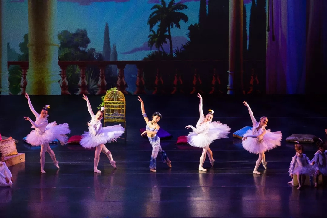 芭蕾舞剧《阿拉丁神灯》