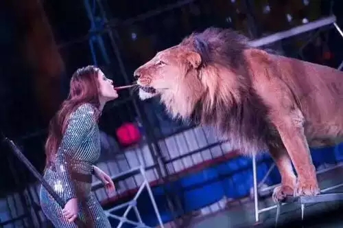 皇家国际马戏全球巡演