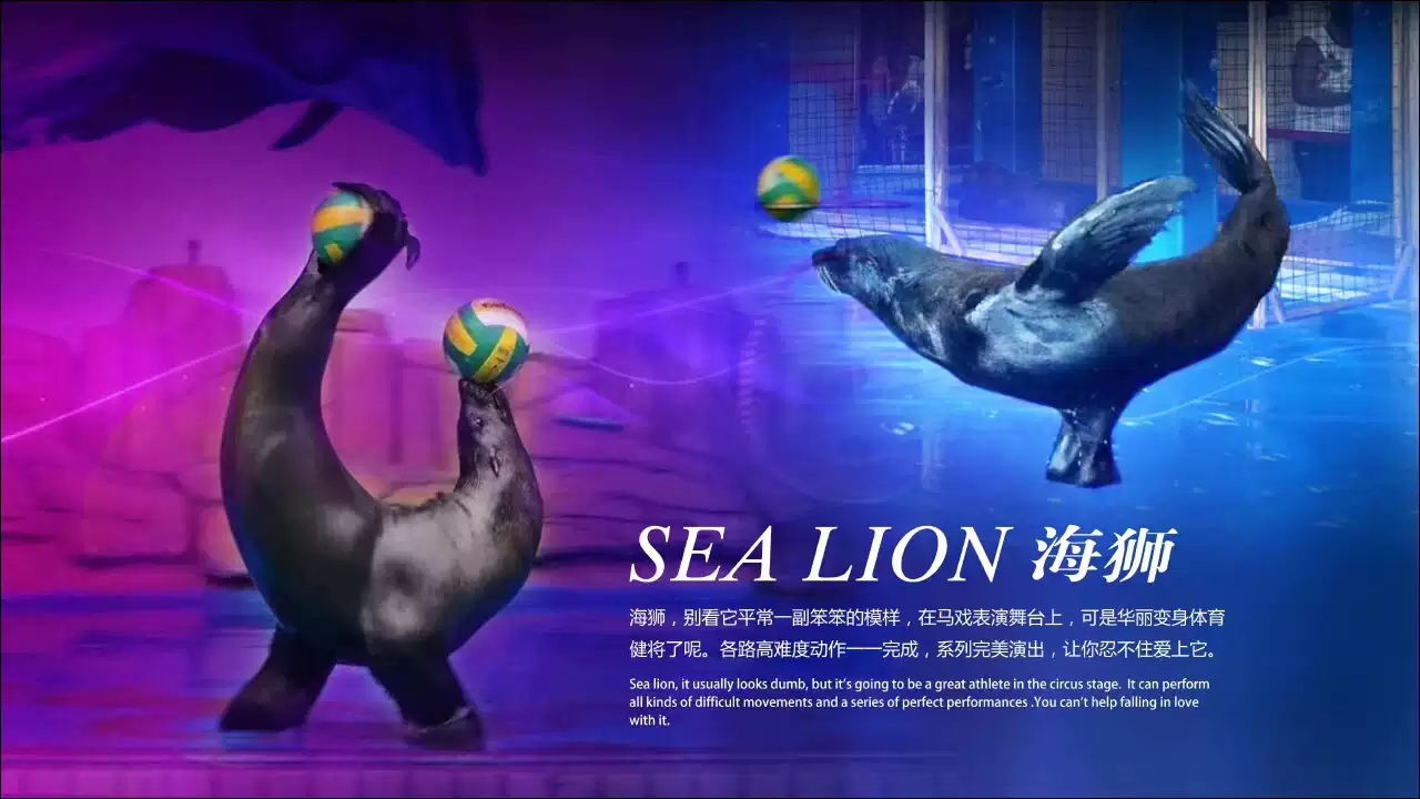 皇家国际马戏全球巡演