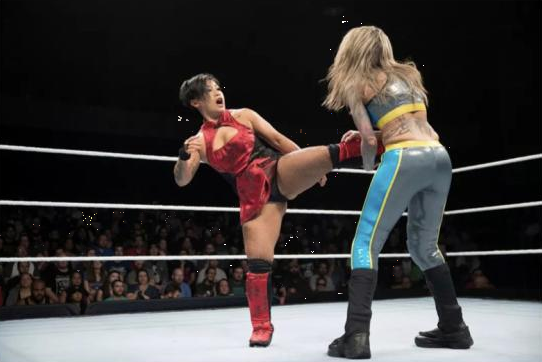 WWE经典美式摔跤娱乐秀