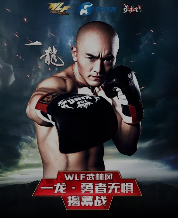 武林风第二届搏击世界杯