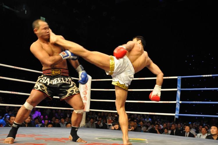 2019郑州武林风第二届搏击世界杯