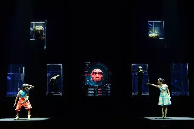 《锛头小辫儿之疯狂的猿人》