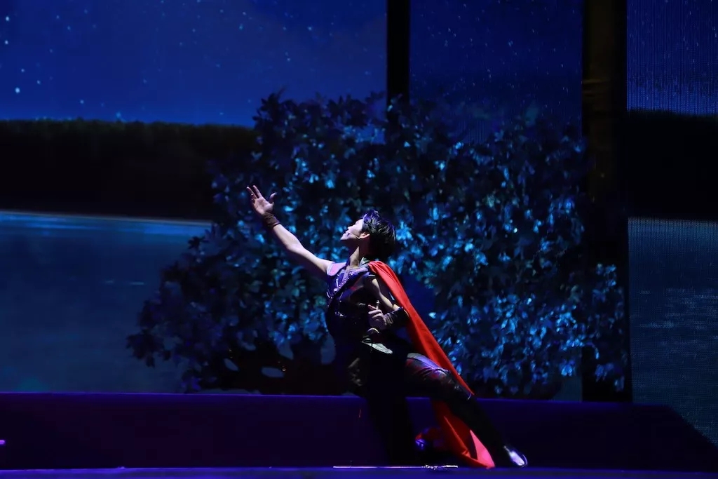 音乐剧《天鹅湖》