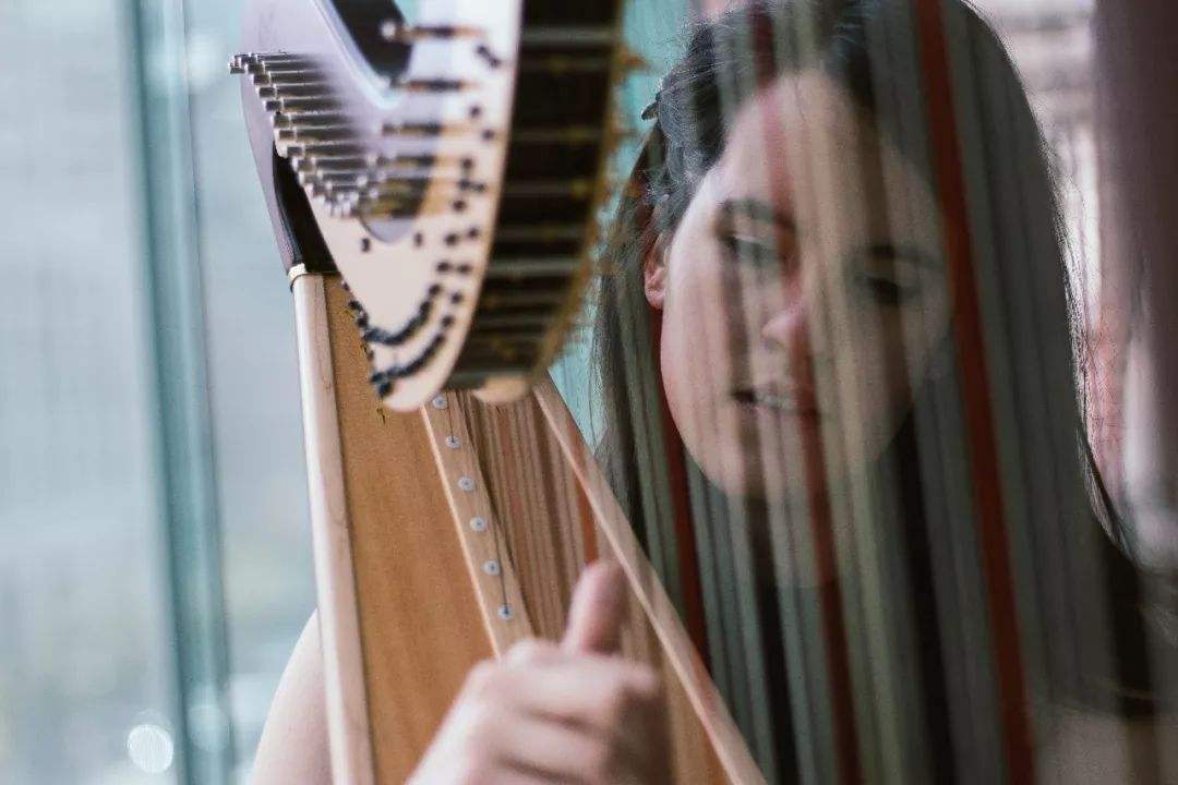 莲卡·彼得罗维奇