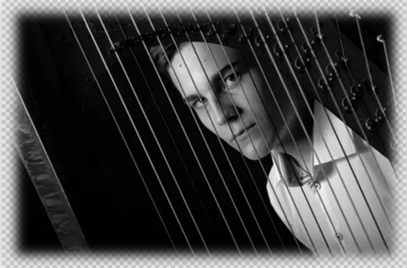 双竖琴古典与现代音乐会福州站