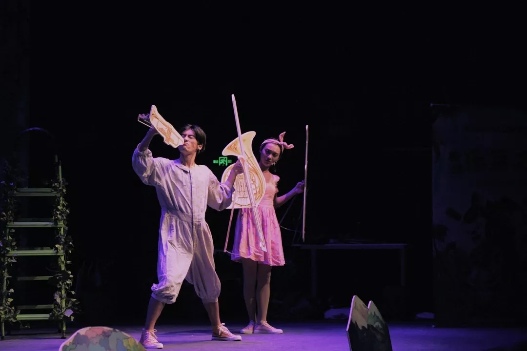 《寻找乐器之王》