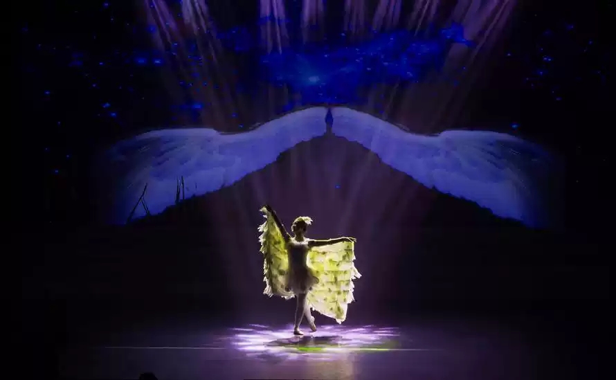 2021年“快乐童年·童话相伴 ”经典话剧展演--童话剧《丑小鸭》-郑州站