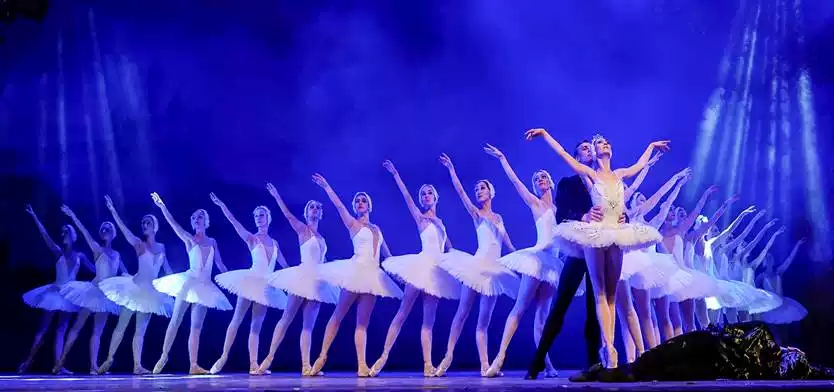 4.webp.jpg2019芭蕾舞剧天鹅湖南京站