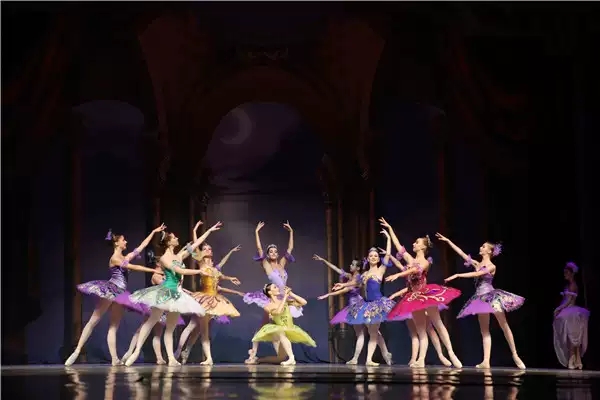 2019芭蕾舞剧睡美人大连站