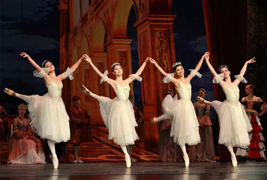 2019芭蕾舞剧天鹅湖南通站