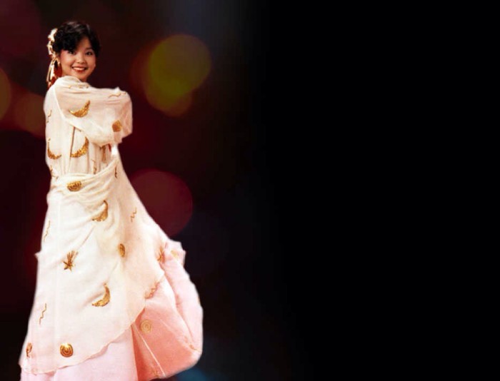 2019邓丽君经典歌曲上海演唱会