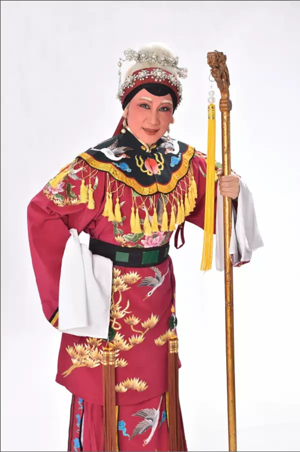 杨门女将
