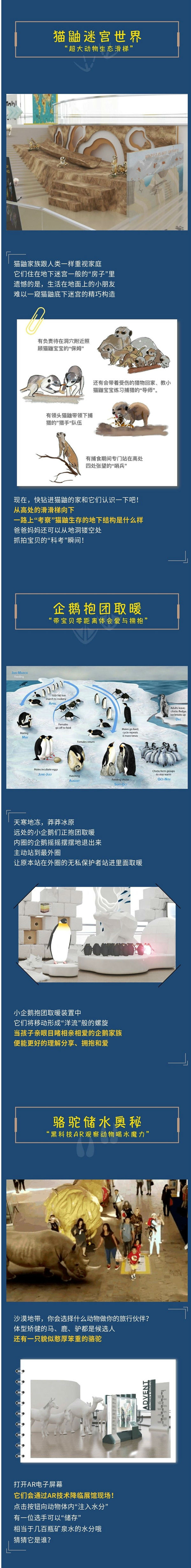 儿童博物馆展览