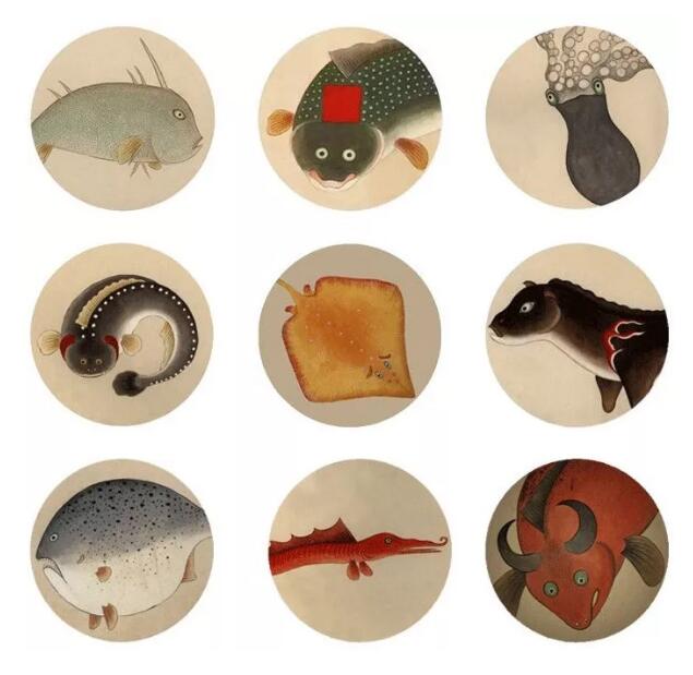 2019故宫里的海洋世界深圳海洋展