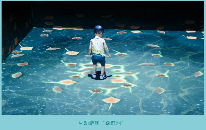 2019故宫里的海洋世界深圳海洋展