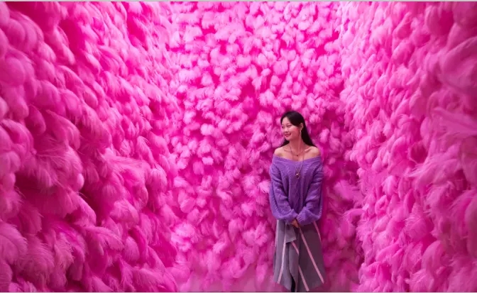 2021沈阳抖拍星空艺术馆+中街失恋博物馆-沈阳站